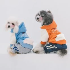Promo ๐ Touchdog 'Heritage' Soft-Cotton Fashion ๐ฆฎ Dog Hoodie Sweater โ๏ธ 12 Promo ๐ Touchdog 'Heritage' Soft-Cotton Fashion ๐ฆฎ Dog Hoodie Sweater โ๏ธ -Cheap Botkier Store 06b1f1e1165e43259332c2f4f2708fbb 1080x