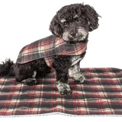 Brand new 🌟 Touchdog 2-In-1 Tartan Plaid 🐕 Dog Jacket and Matching Reversible 🐕 Dog Mat 🛒 -Cheap Botkier Store 08701a0bd9df4b7a94931086eb9ad0b4 8f7e9d5b 5c75 4d16 a7c2 a42a4a1164dc 1080x