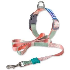 Cheapest 😍 Touchdog 'Trendzy' 2-in-1 Matching Fashion Designer Printed 🐶 Dog Leash and Collar 😀