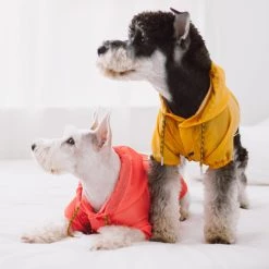 Best reviews of 🌟 Touchdog Split-Vent Designer Waterproof 🦮 Dog Raincoat 💯 -Cheap Botkier Store 5211665b57be4c3d878fee310d135f65 bbec7624 6f46 47a5 bced c0e5928659e6 1080x
