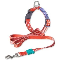 Cheapest 😍 Touchdog 'Trendzy' 2-in-1 Matching Fashion Designer Printed 🐶 Dog Leash and Collar 😀 -Cheap Botkier Store 639d9f3820a44cc28f4818f118a378ae 1080x