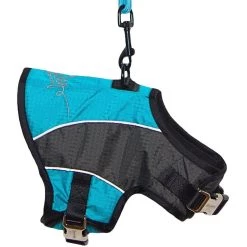 Cheap Botkier Store -Cheap Botkier Store 8b9746f940464e25affc2125c874e3b9 1080x