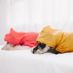 Best reviews of 🌟 Touchdog Split-Vent Designer Waterproof 🦮 Dog Raincoat 💯 -Cheap Botkier Store cc7d1e0d700846b48ddd45b8f224b01b f6efd002 43ba 404a b61e ead02ec937d1 1080x